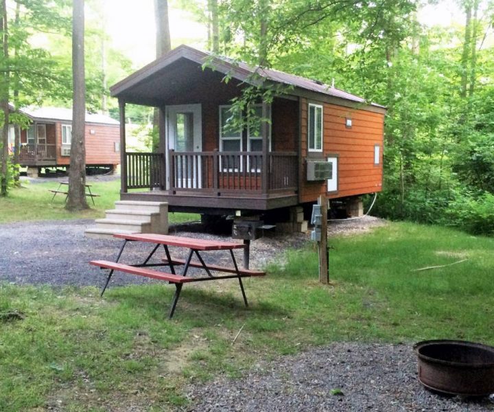 Boo Boo™ 2 Room Cabin in Forest with fire pit and picnic table