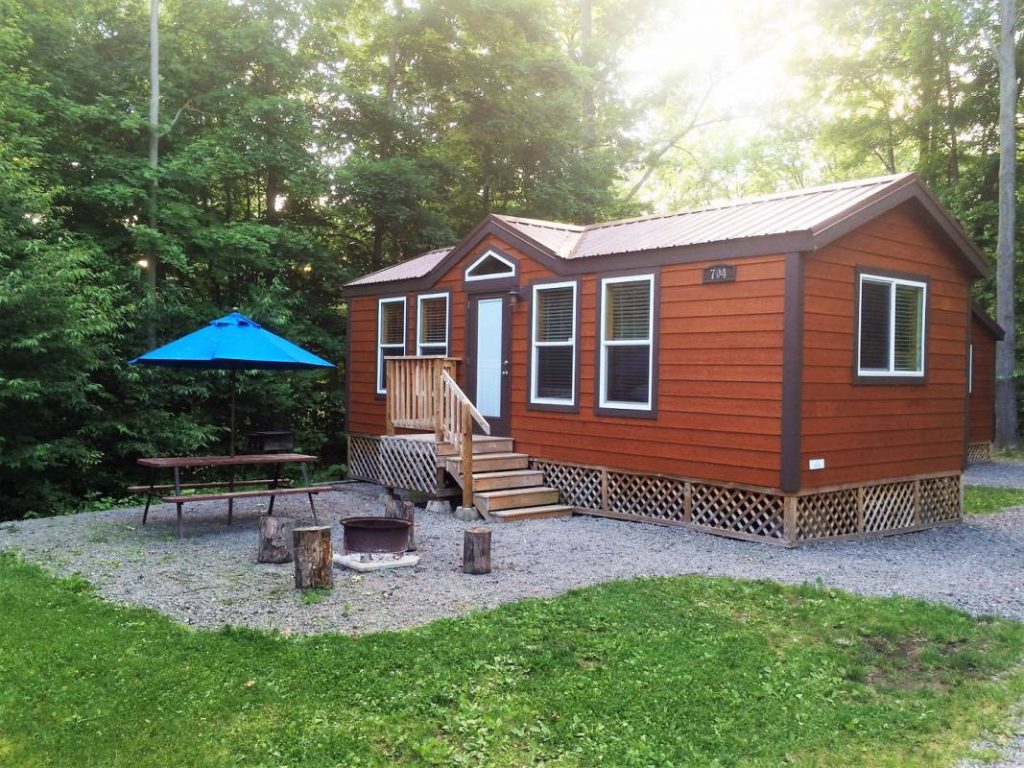 Cindy Bear™ Cabin in Forest with fire pit and shaded picnic table