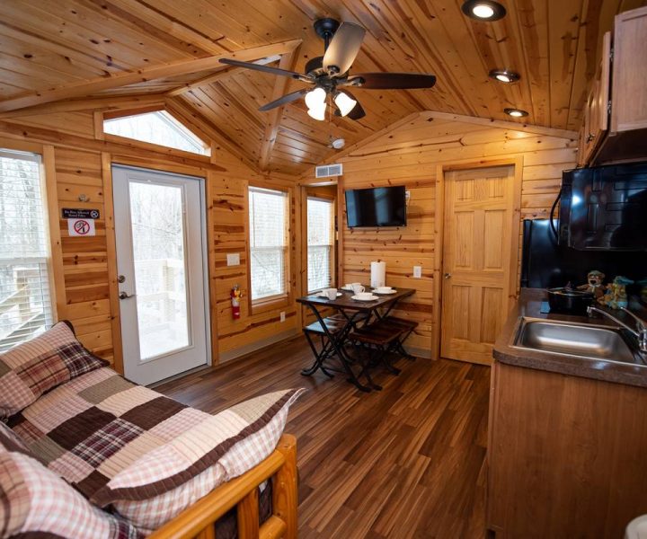 Cindy Bear cabin interior, living space with full-size futon, dining table, sink, refrigerator, microwave, TV and ceiling fan