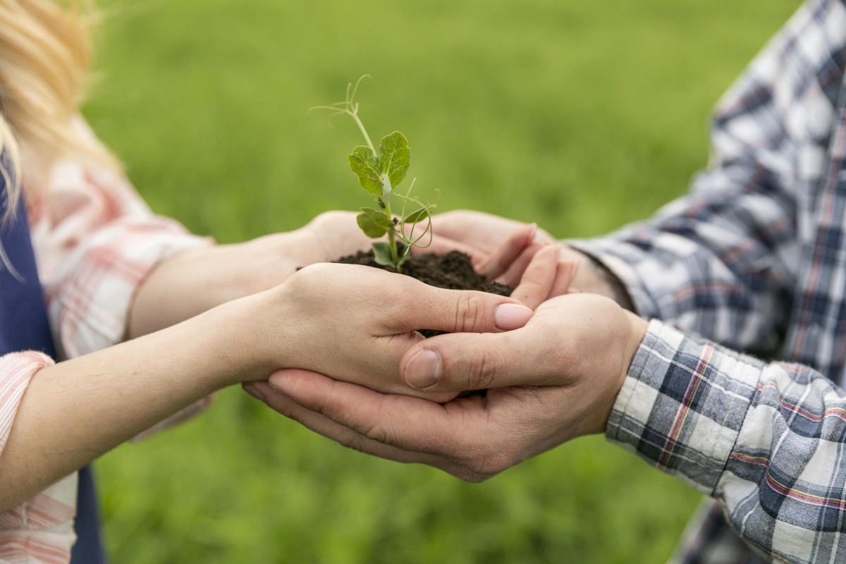 Two people holding a small plant