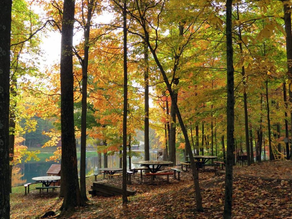 Autumn leaves in the forest with picnic chairs and the lake in the distance