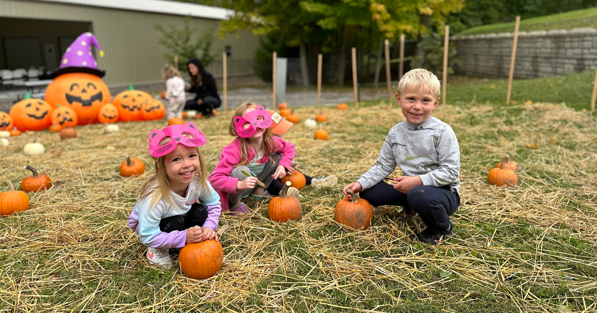 The Magic Behind Our Pumpkin Patch